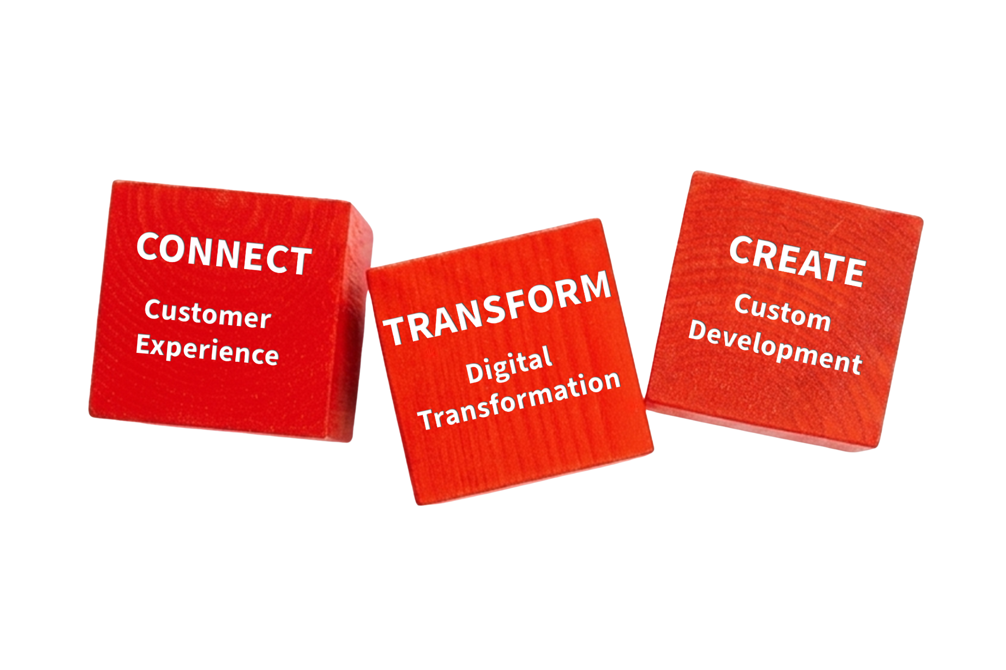 custom software development company